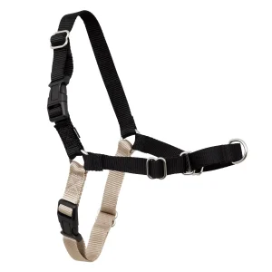 Easy_Walk_Harness_M_BLK_PD_Hero