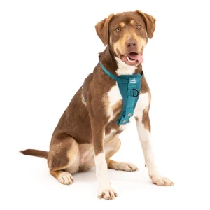 POG30-17569 Tru-Fit Smart Harness, Enhanced Strength, Medium - Ink Blue