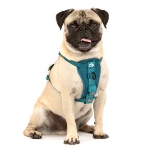 Tru-Fit Smart Harness, Enhanced Strength, Small - Ink Blue