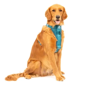 POG30-17570 Tru-Fit Smart Harness, Enhanced Strength, Large - Ink Blue